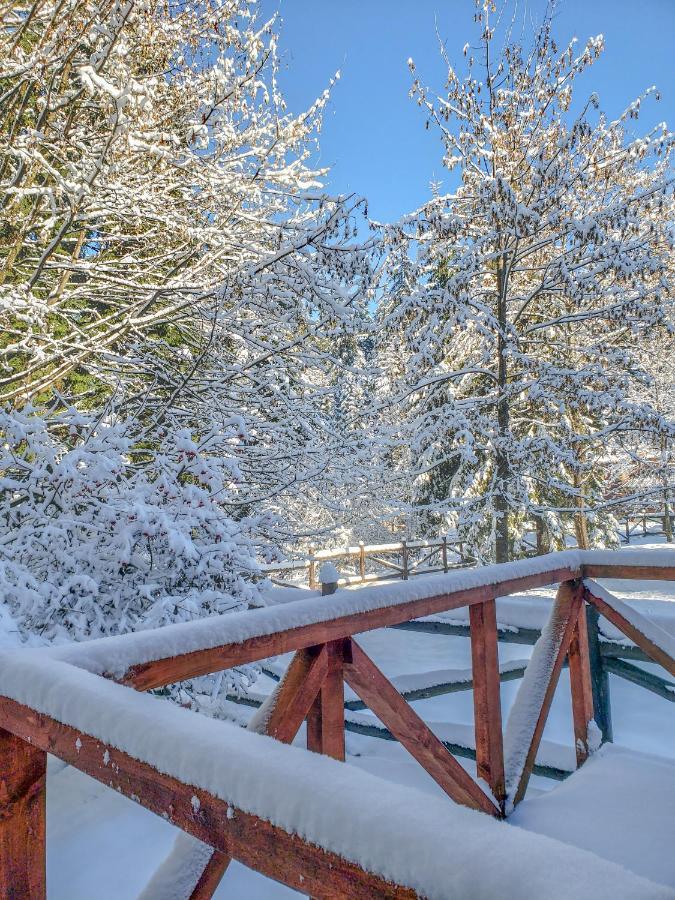 Guest Rooms- Klepalski House Borovets Dış mekan fotoğraf