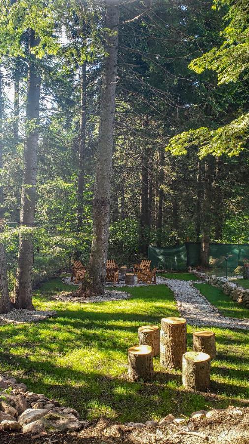 Guest Rooms- Klepalski House Borovets Dış mekan fotoğraf