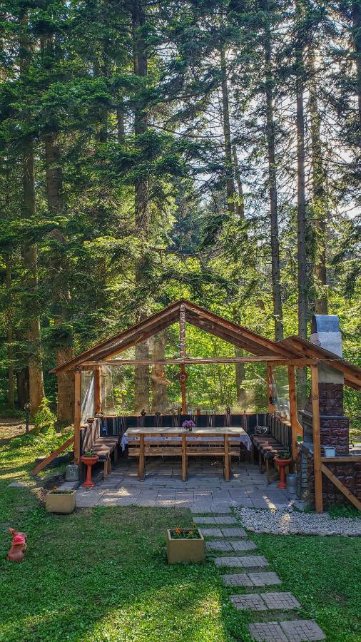 Guest Rooms- Klepalski House Borovets Dış mekan fotoğraf