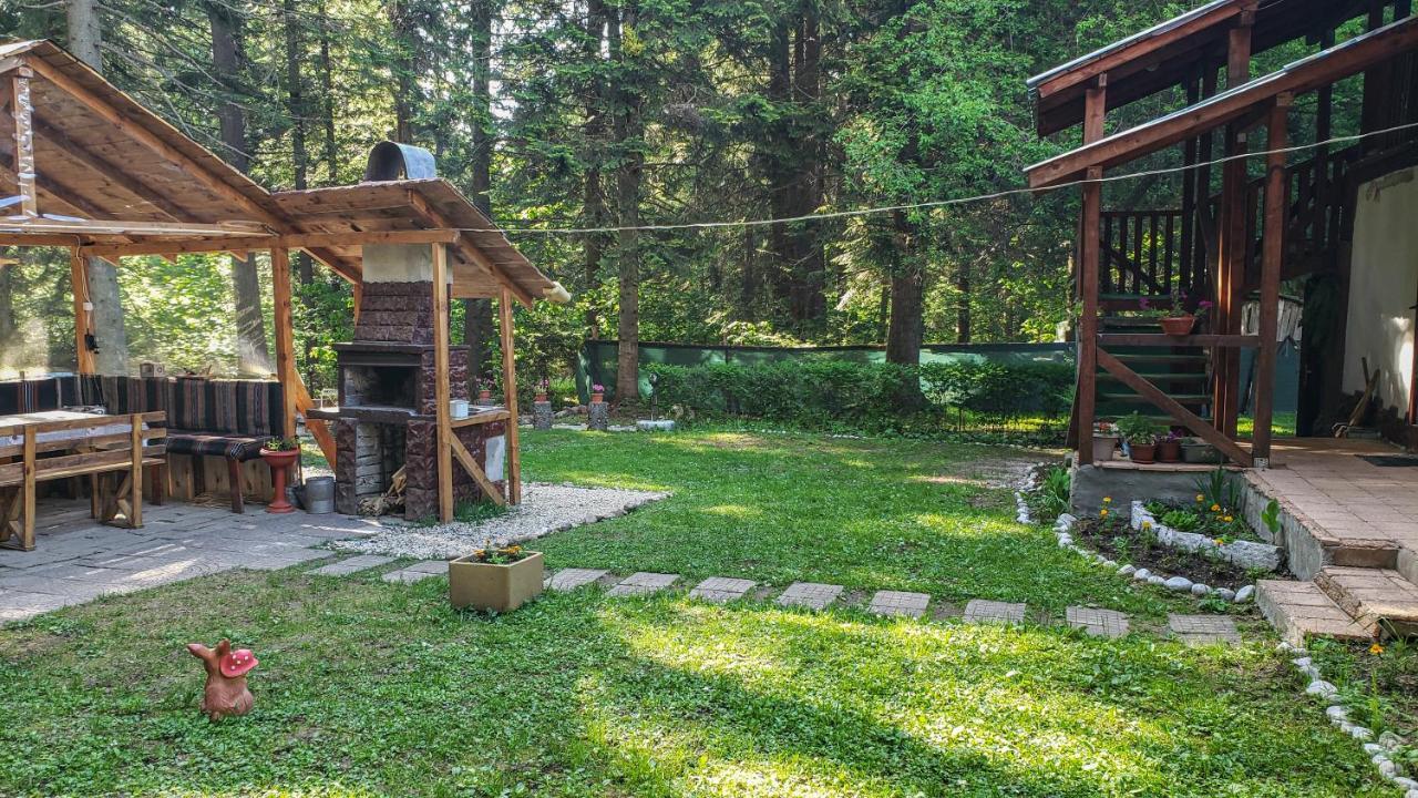 Guest Rooms- Klepalski House Borovets Dış mekan fotoğraf